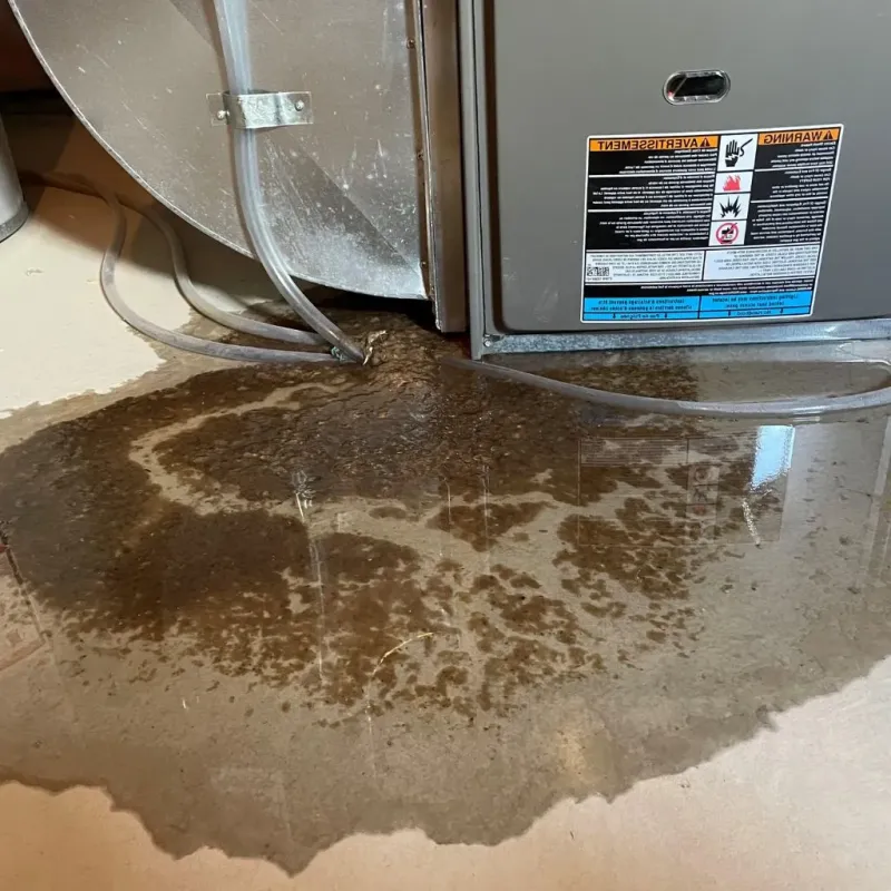 Pipe Burst and Leak Restoration in Hawley, PA